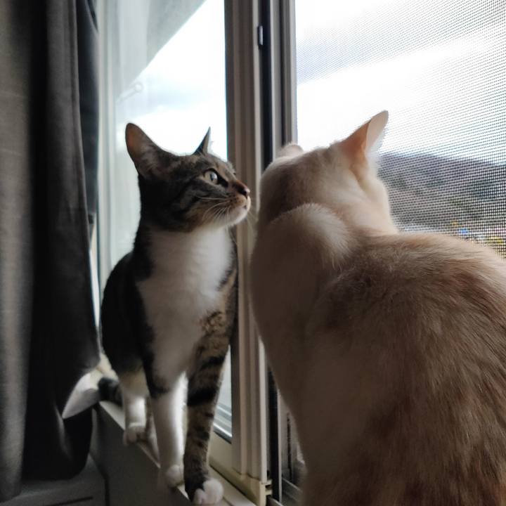 C176ca6d c669 44dd b19d 74e711df8ec2 1679611633729