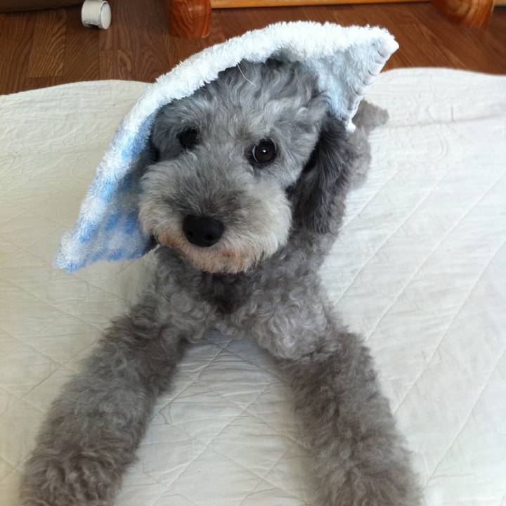 C176d8fb e6df 401b b772 b9d9304ae19c 1691981458346