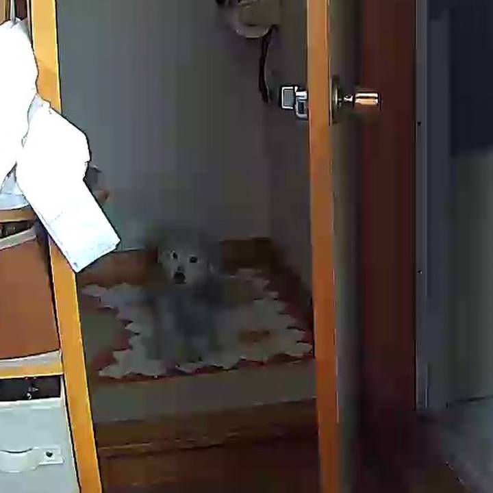 C176df13 763e 47c4 9b42 41b97cce2f18 1618375840988