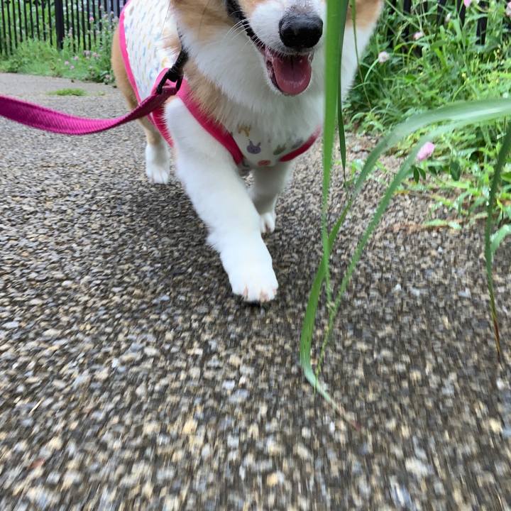 C176fda1 5caa 4cc9 81ed 016a70f9b714 1563770190576