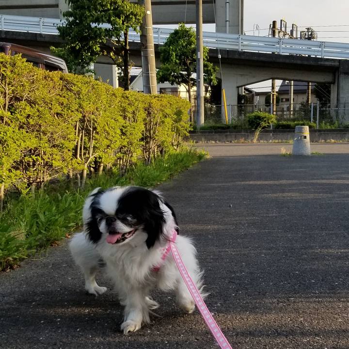 C1773270 d389 4f95 969b 90da01bcf12a 1528019202630