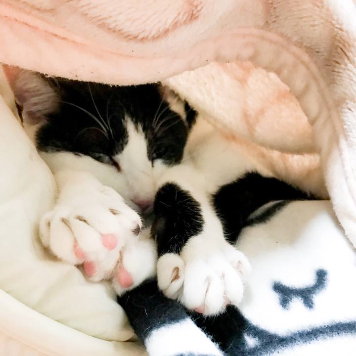 C1773d09 580d 49e7 83bd 167e73d569a0 1521210833232