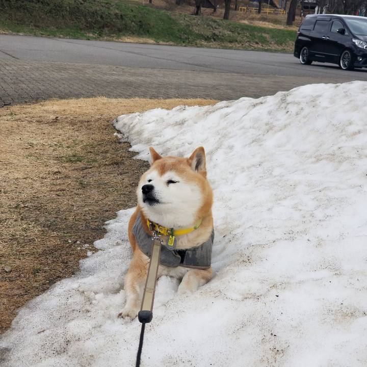 C177a20a 67d1 4988 a790 95d37bb11afa 1679888790620