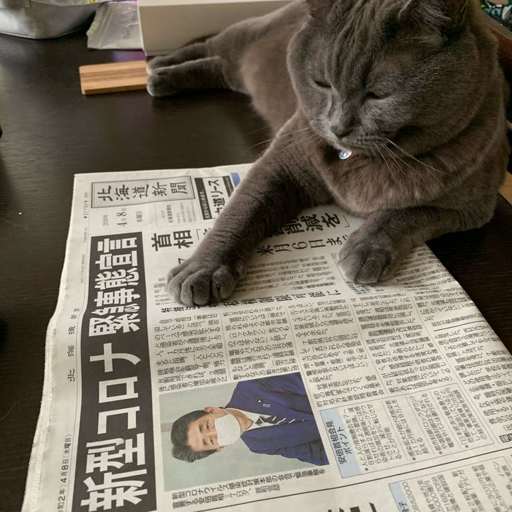 C177c73b 7d02 4223 9981 e0d308f78812 1586383562906