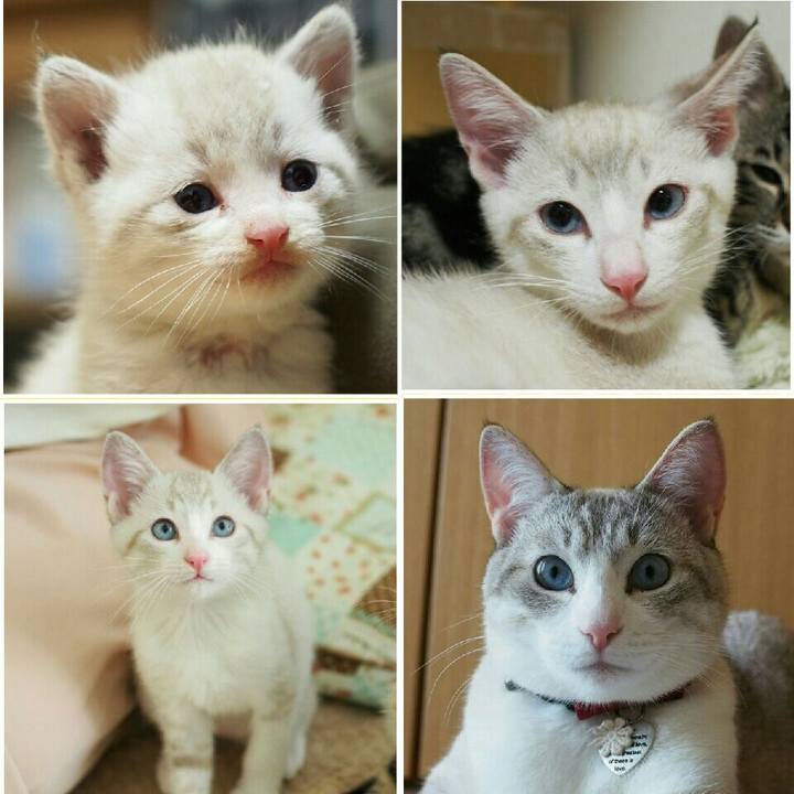 C1783b78 c41e 410b 8106 d76cc41ffffa 1526651238625