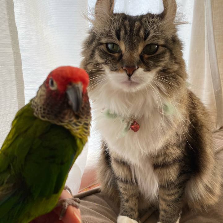 C1785c1a d134 4607 b504 e07692bbd53e 1615351641016