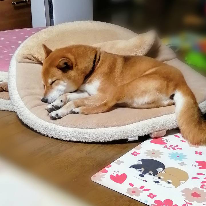 C1788dcc 3e33 4adb 8a20 9a12f81e1e27 1617025100578