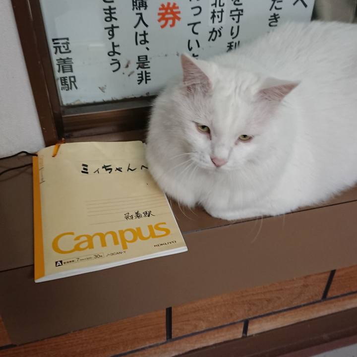 C178b45c 4d88 4301 9abc 97bd2a6236d5 1537222886808