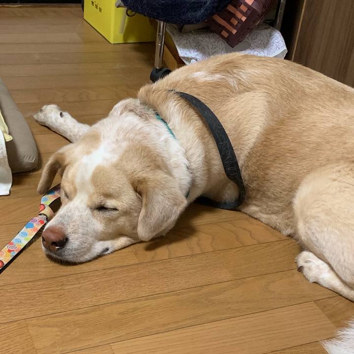 C1791927 04c8 44b0 87e2 be59860b195f 1560436938675