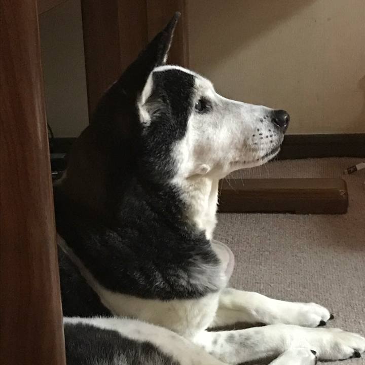 C1791cd1 ea76 4957 8411 61735a8fc42e 1637247422879