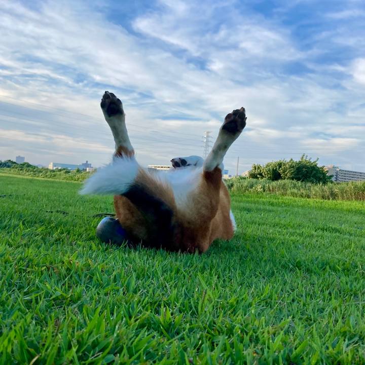 C1792561 3bb3 4509 a24a b52c8f203e7a 1661988905909