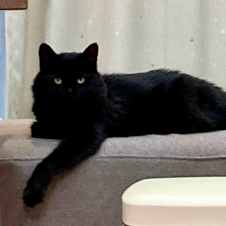 C1792b9b 54ee 4b34 9fde 366ff3a62696 1757411299796