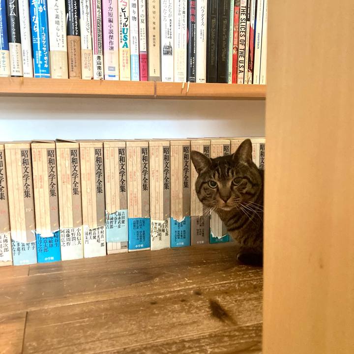 C1792cec 7a64 4c45 b7f1 e790456a6a93 1679788750953