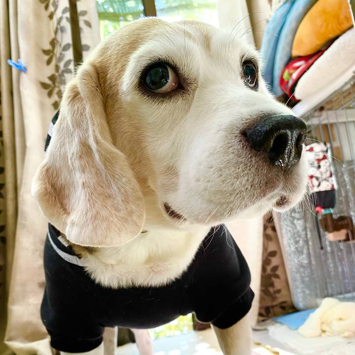 C17962d9 5da1 451c 8791 c78d11f3dcbe 1636084350693