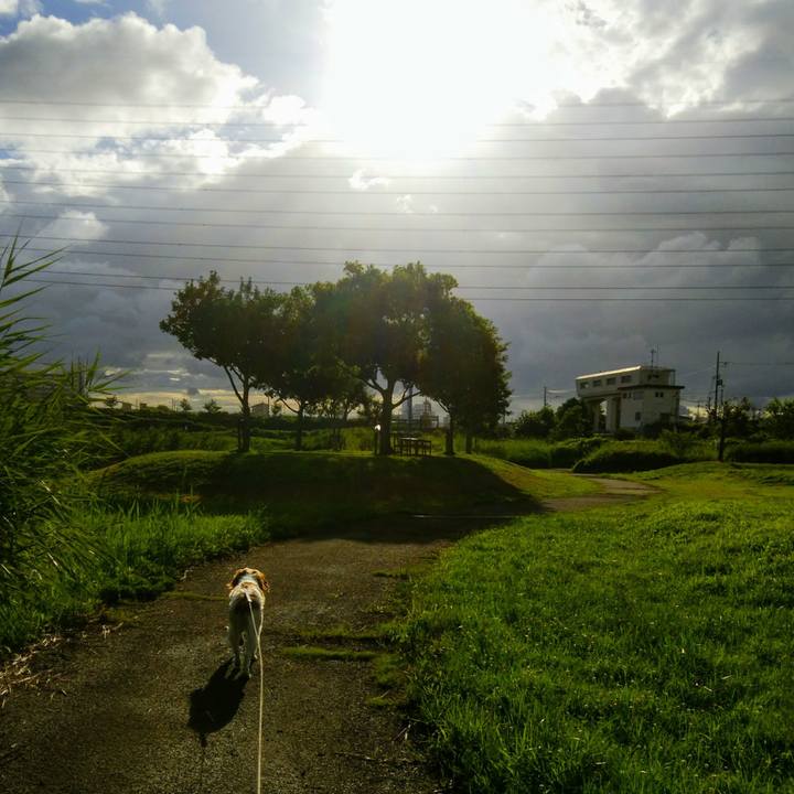 C179721b a636 4817 a405 3dae056d272e 1530706269395