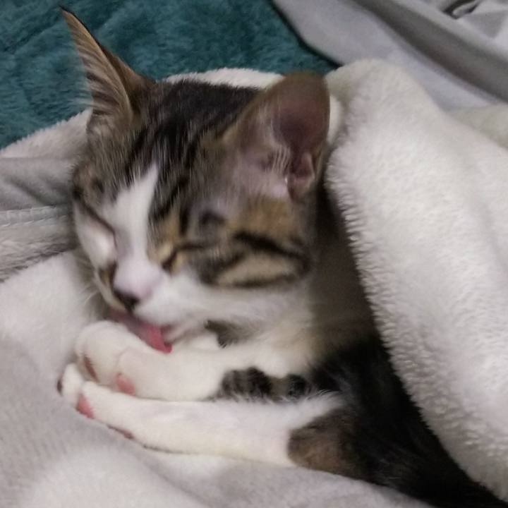 C179928c d8a6 4df9 ab43 81208b4129a3 1611402247662