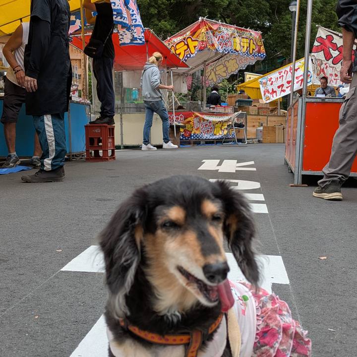 C179b007 2d2f 4b71 bab2 ca5f4f9b9da1 1759544896851