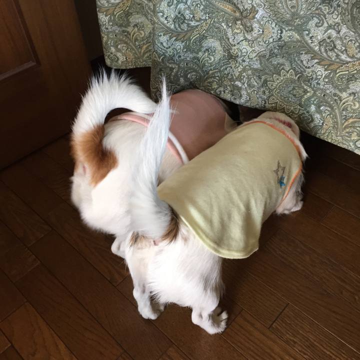 C17a2d55 b873 4992 a098 9cb5bf053fe2 1510466120330