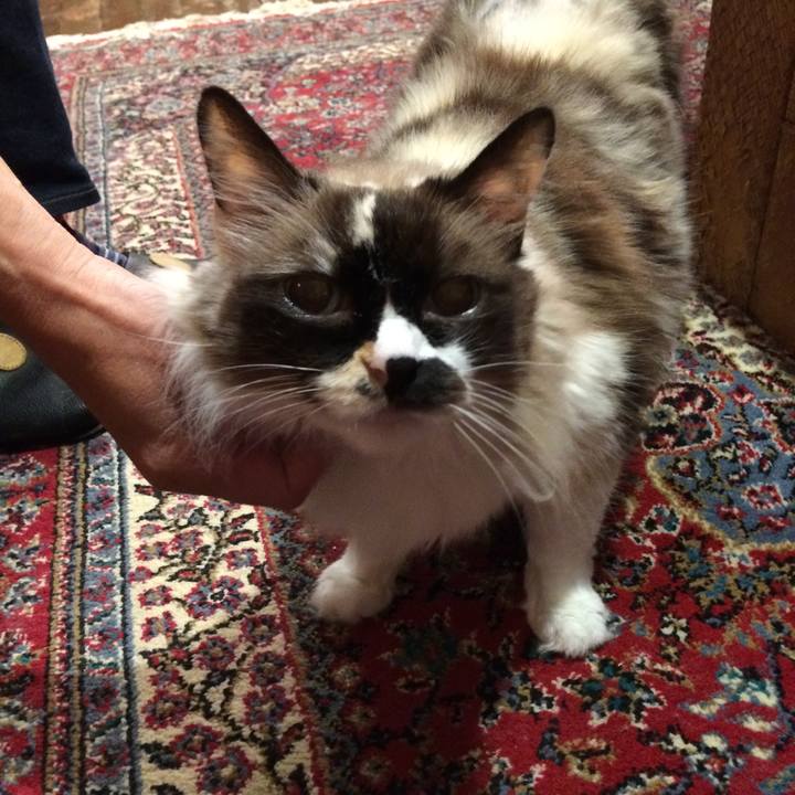 C17ac0ec e8ff 49e4 bc61 8163cd7314e0 1554652210118