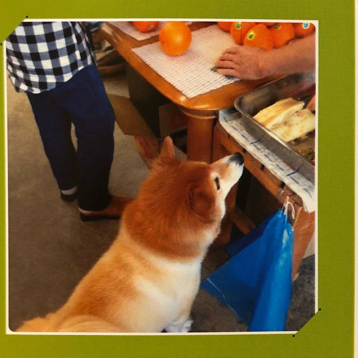 C17ac954 2258 452f ad99 f5a7797e234a 1601544291149