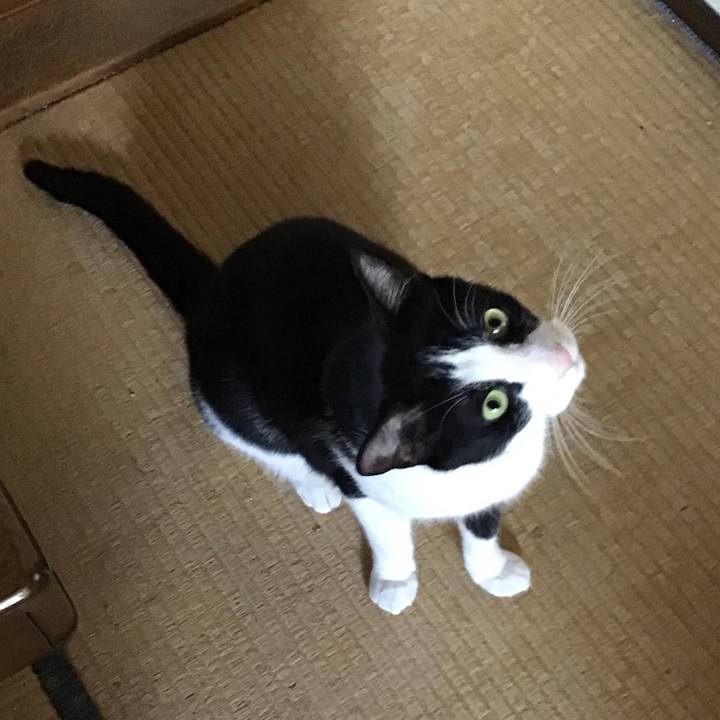 C17b086b 7ef1 4fe9 8c3a 97e2cb25aba2 1746954148229