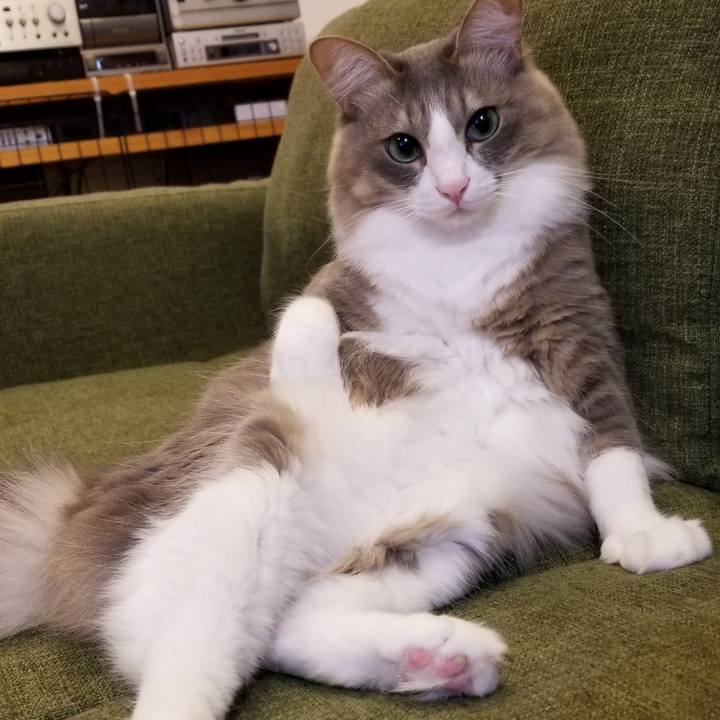 C17b1f00 450d 44d6 83d8 46faad3baa04 1575903716956