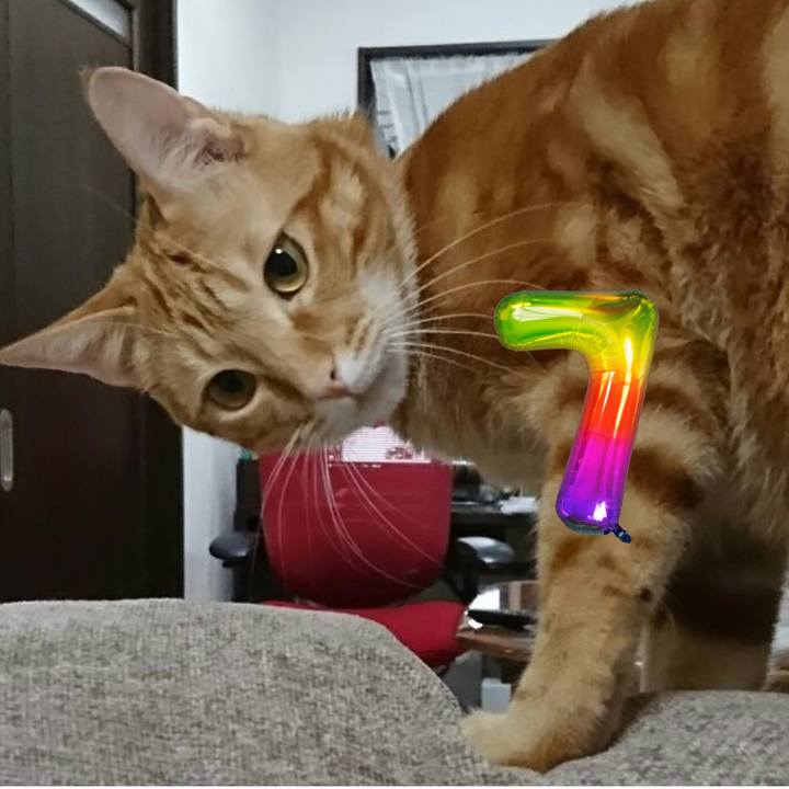 C17b2c9b bbe9 414f 89dc 4c661ff71b15 1686485632459