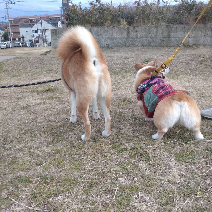 C17b413d aa5e 4176 bb35 df2b7a33e864 1704206116513