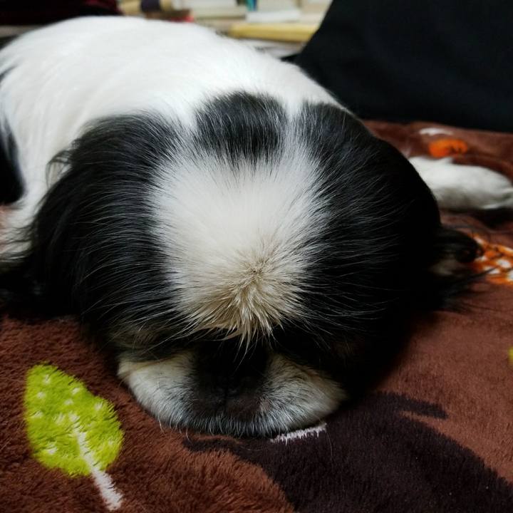 C17b4c60 6407 4f98 ad2e 07c8b05cee19 1519560695742