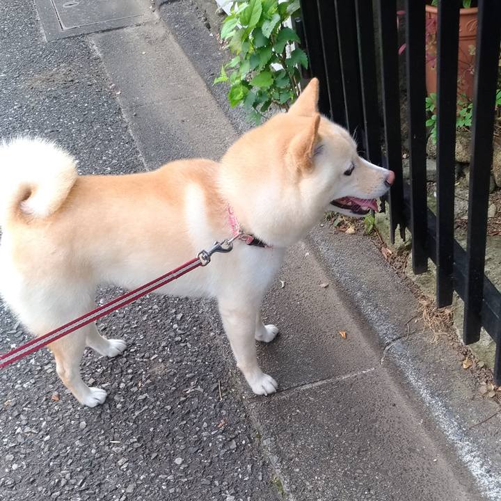 C17b4caf b2b2 4e1e a1a1 73d453d2ab11 1597012993187