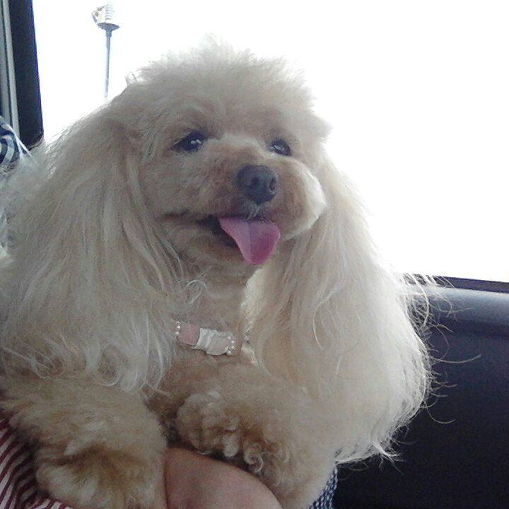 C17b5587 d055 473f b40c b6266b8296cb 1524395892717