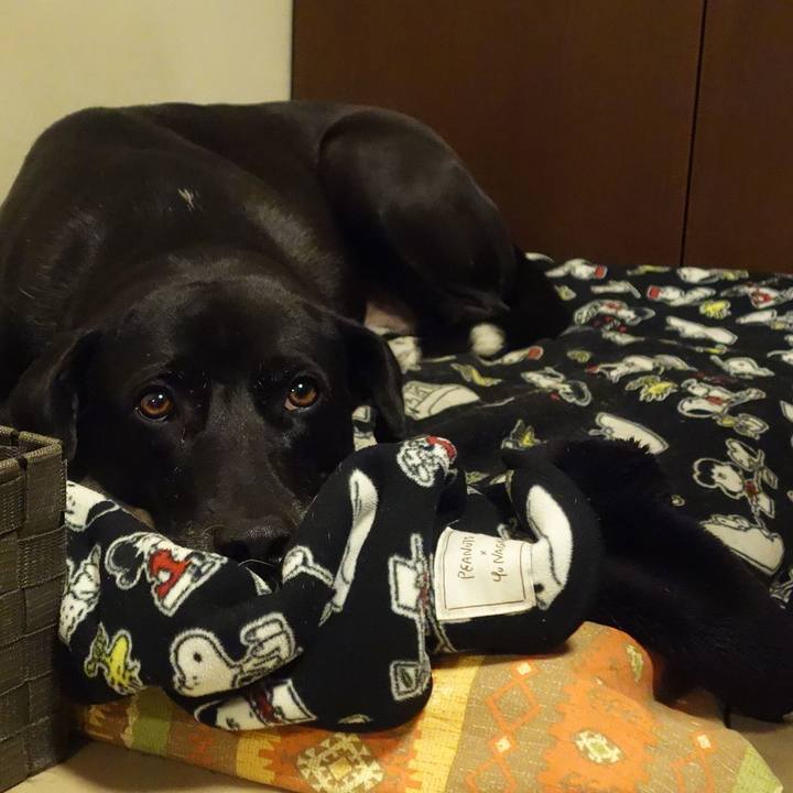 C17b5b1e 8049 4da1 a0c6 964c99d86b52 1672139043878