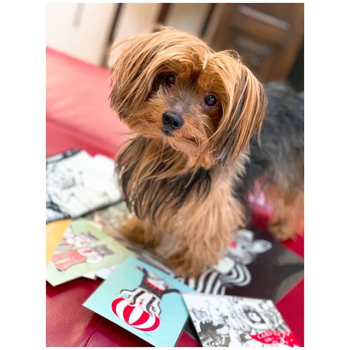 C17b5b2f 01ab 4593 a6b9 ec827ac05cde 1549002036966