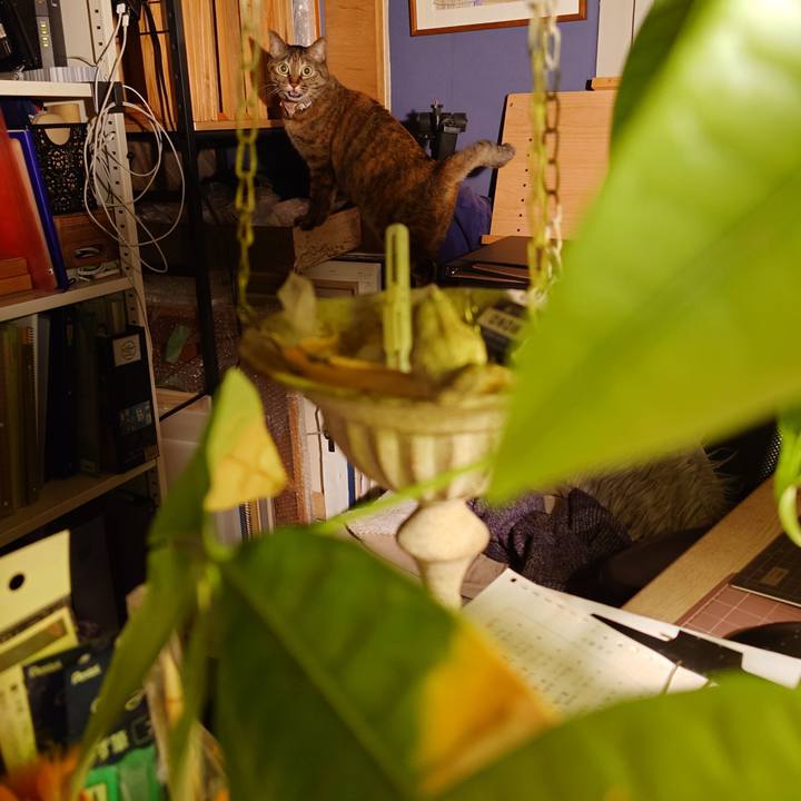 C17bb9e1 379d 4b04 ab83 c89451857322 1772117589586