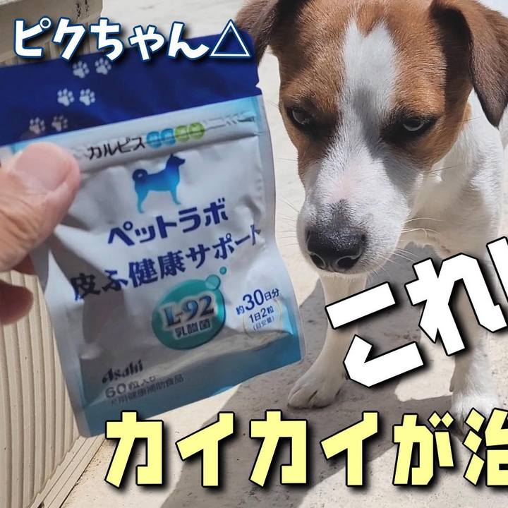 C17bbf48 b406 4fb8 af35 b498350c46d6 1684826097570