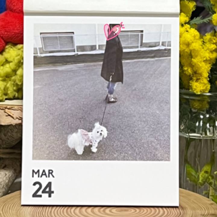 C17be209 eff3 4ebb 830d 3963dafc9689 1774329530882