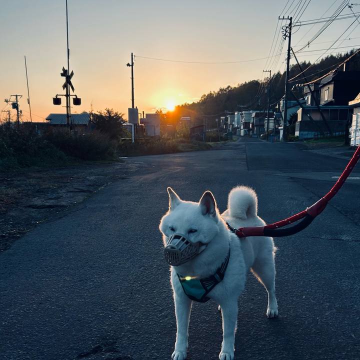 C17c06ae df24 42fc 8a3e 05dc6e58e704 1698183968491