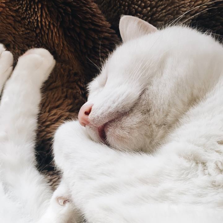 C17c5ad0 cd90 4153 b3c2 a6d03ed772f3 1556498311739