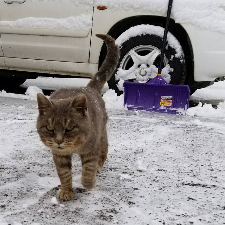 C17cc14a bca1 419c a1f2 00c505c536fb 1521071507145