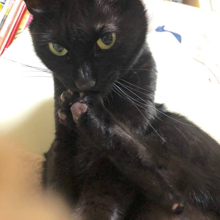 C17ccf07 1876 4861 ad2c 8336571659cc 1586865871842