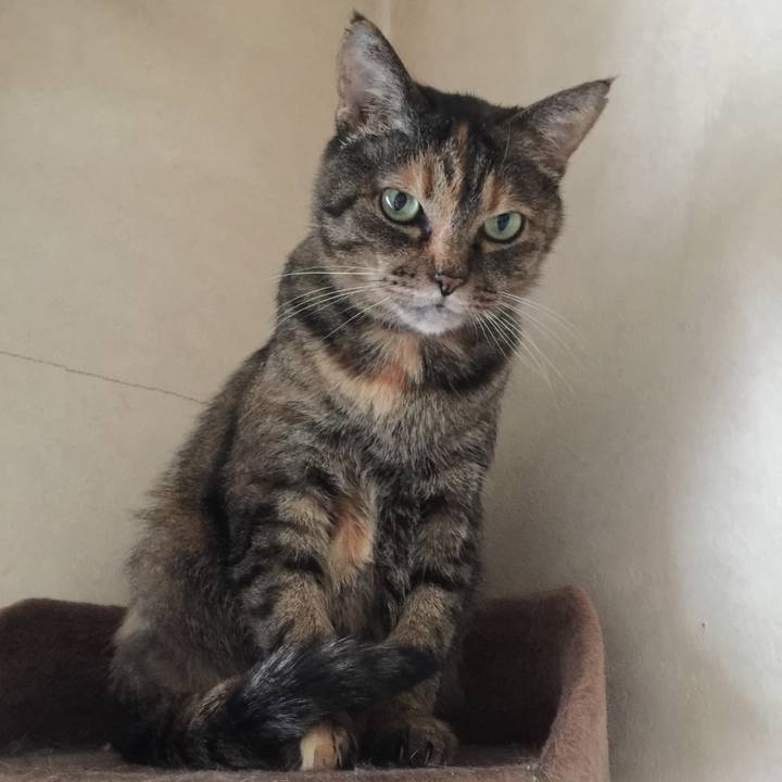 C17ce69a fd4e 4044 bda1 fb87545b61ae 1695249413794