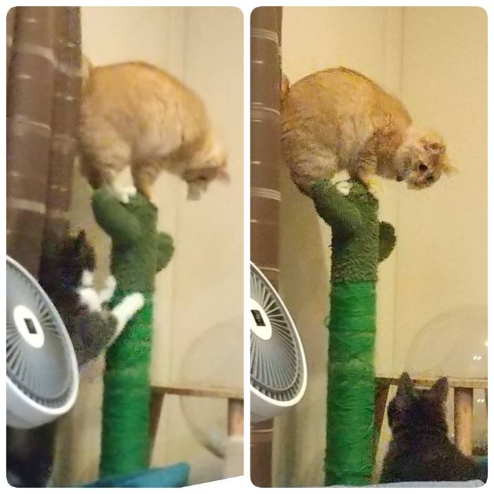 C17d102e ae38 4792 80e0 f757c7d00a93 1637241747304