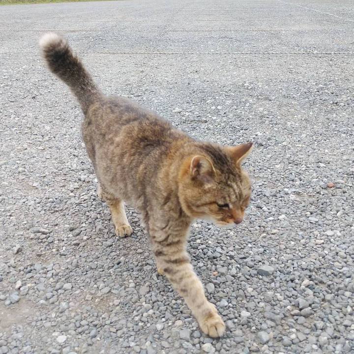 C17d1e3e 8a32 4e7b b0f3 a750ec457387 1620704861269