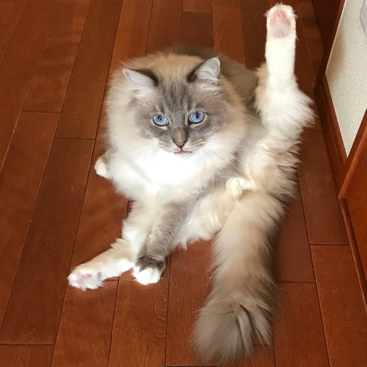 C17d441e 064d 4330 871e c864e270a13f 1514893352141