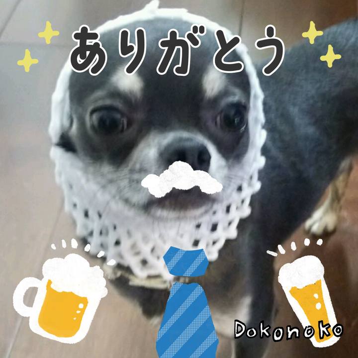 C17d67be 766f 4cc0 8719 1bf2fb2bfd89 1718452190411