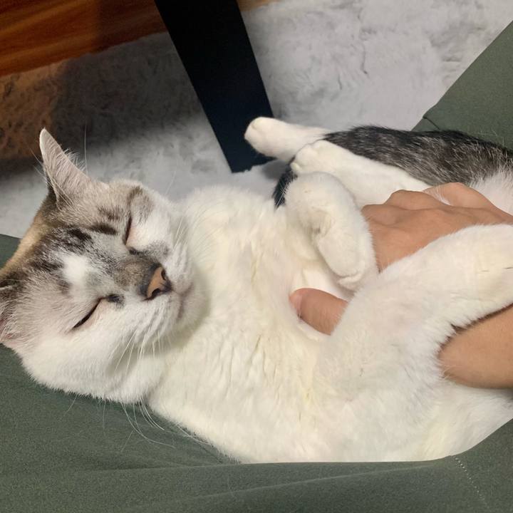 C17d85ae 9736 4952 9070 06f7f444cd44 1663679816034