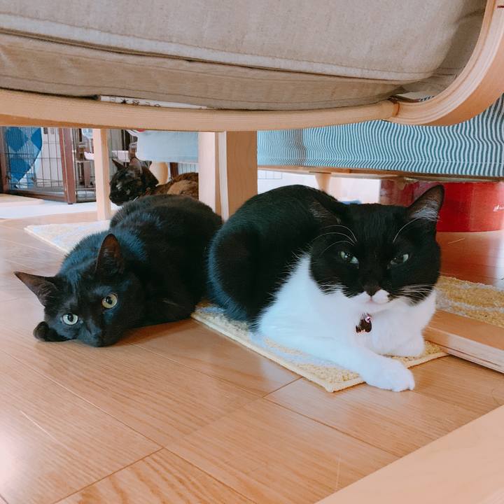 C17d8eb4 fe06 40a1 8623 e253b2d7be30 1551487924115