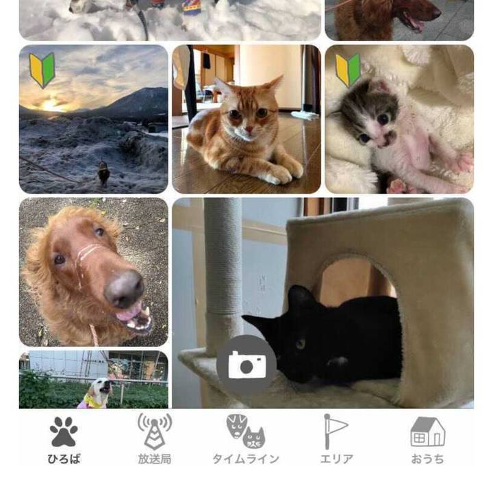 C17d9f00 0839 40f2 81be e672cbdcd1fa 1634286741369