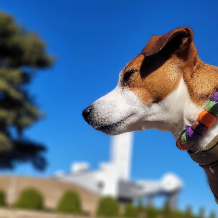 C17da0a9 5ba0 49f5 bd7d a6311b397c65 1672913614390