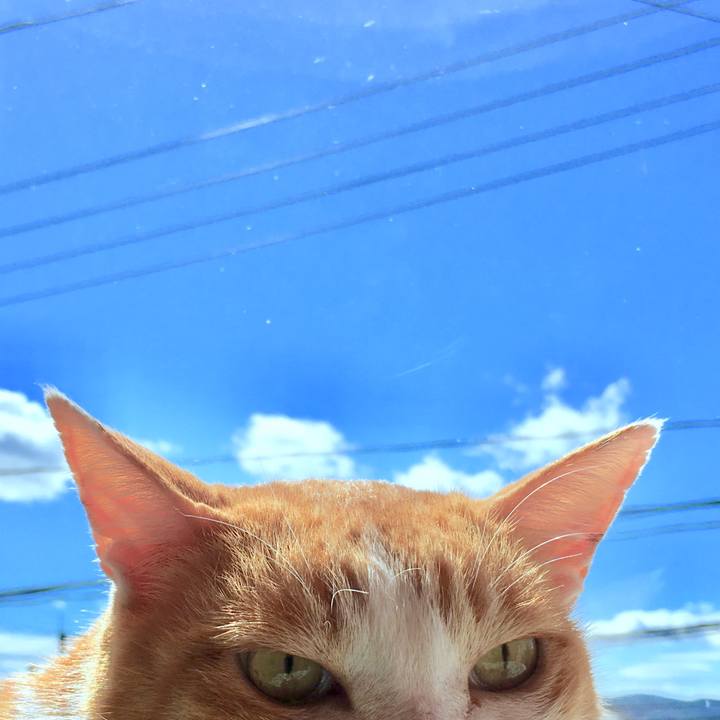 C17dbf28 ba17 4347 8e5b 3c4598120456 1569295035157